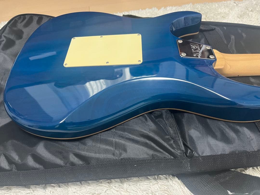 EDWARDS E-SN-150FR M Aqua Marine 美品