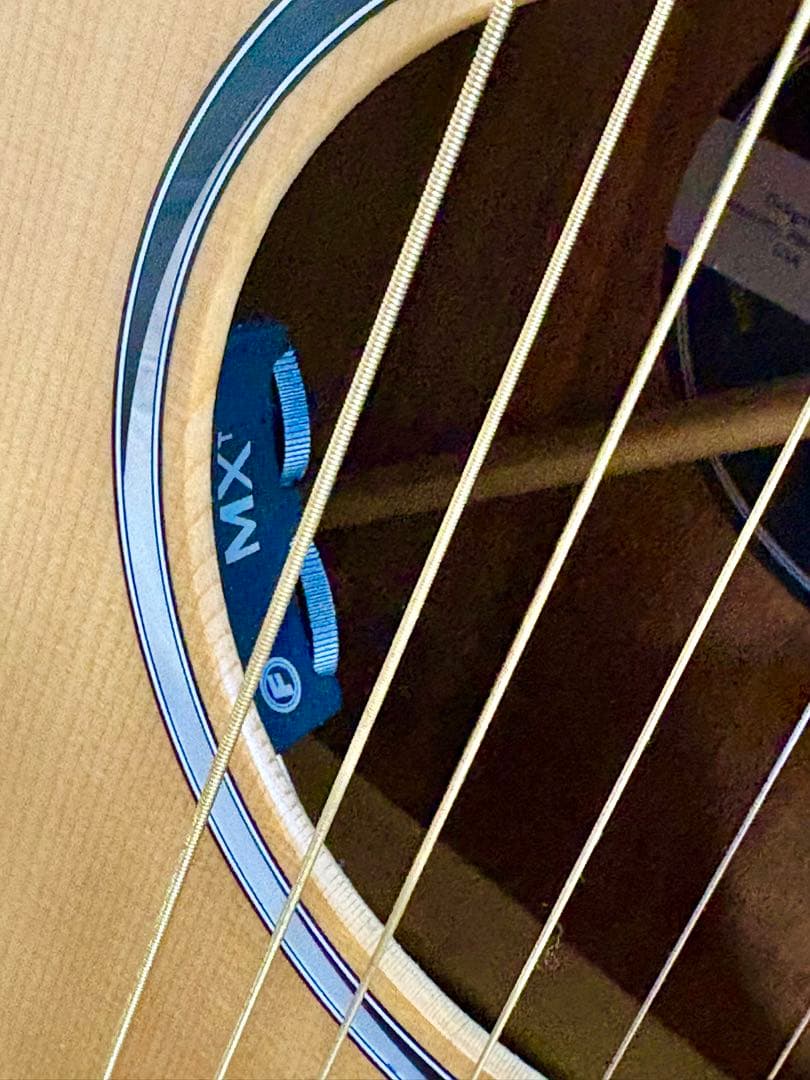 Martin SC-10E-01 エレアコギター　マーチンセミハードケース付