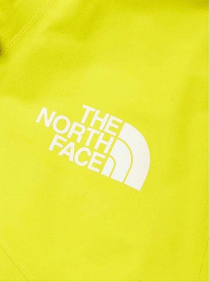 THE NORTH FACE RTGゴアテックスRROジャケット　Lサイズ