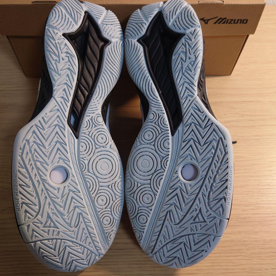 未使用 ミズノ バドミントンシューズ 25cm 25.0cm