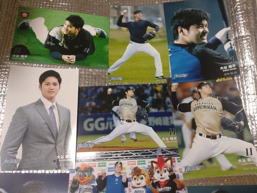 大谷翔平 ハイライトフォト 球団公式写真 ⑤ 10枚セット 日本ハム