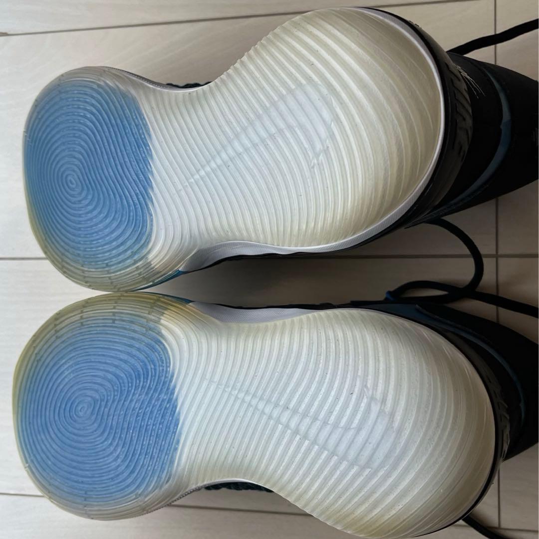 NIKE アルファダンク　27.0cm