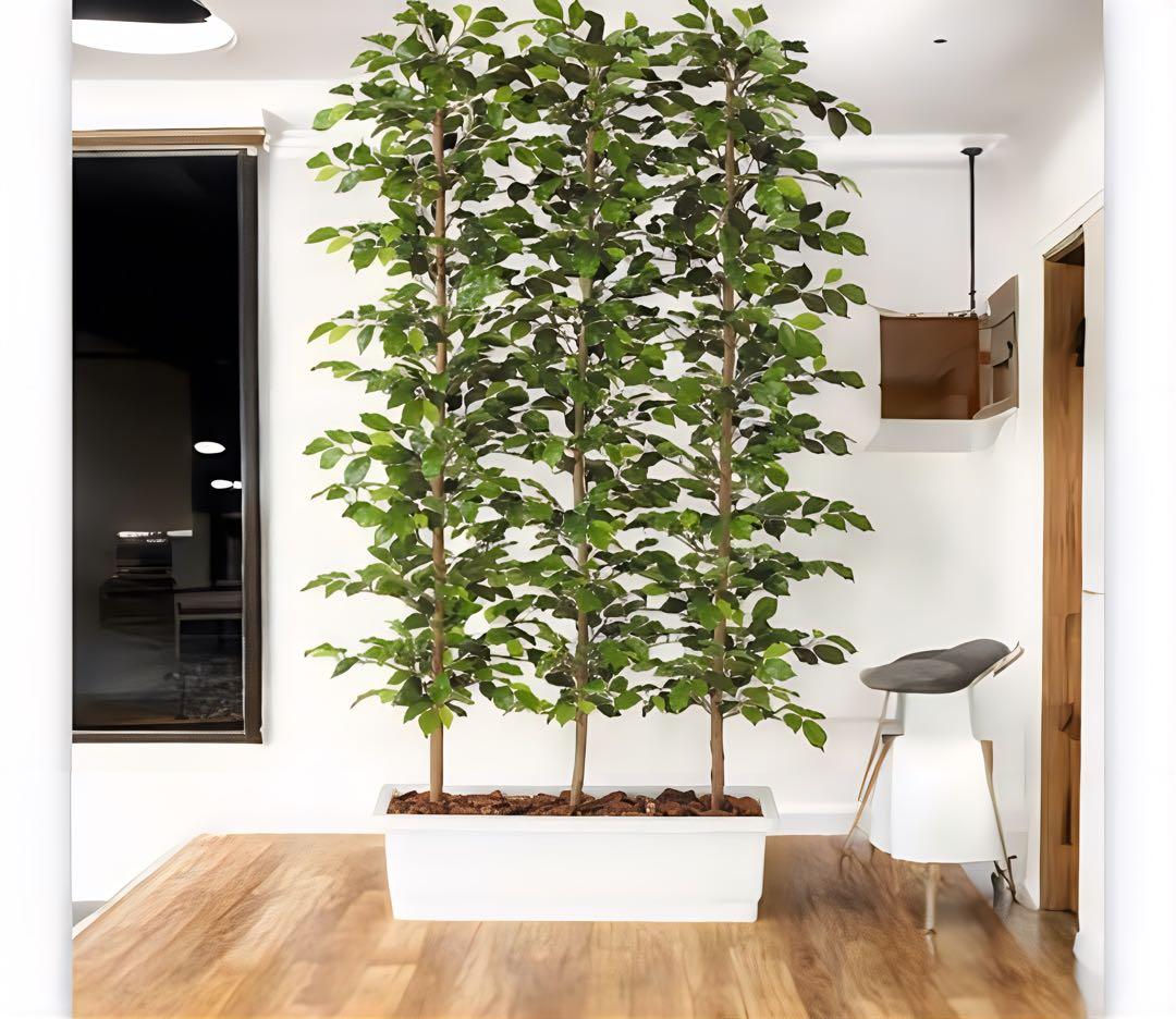 光触媒　人工観葉植物　ウォールグリーン　フィッカスパーテーション150