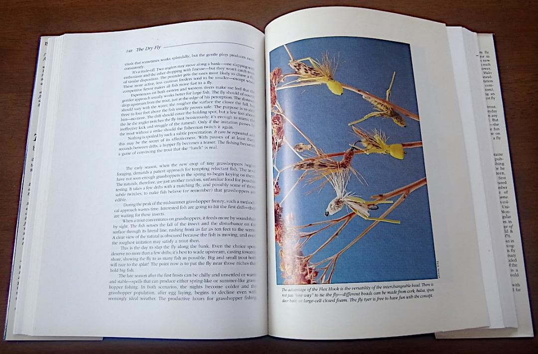 The Dry Fly:New Angles英語版Gary Lafontaine
