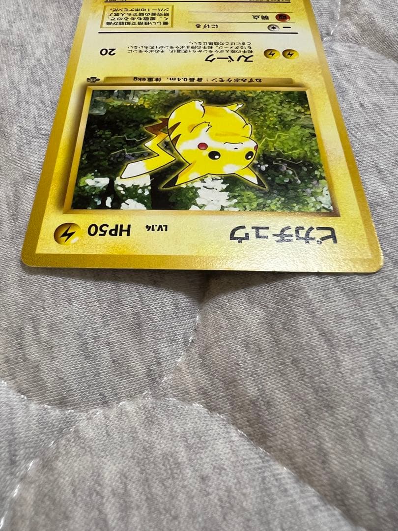 （美品）　ピカチュウ ● 第2弾拡張パック ポケモンジャングル