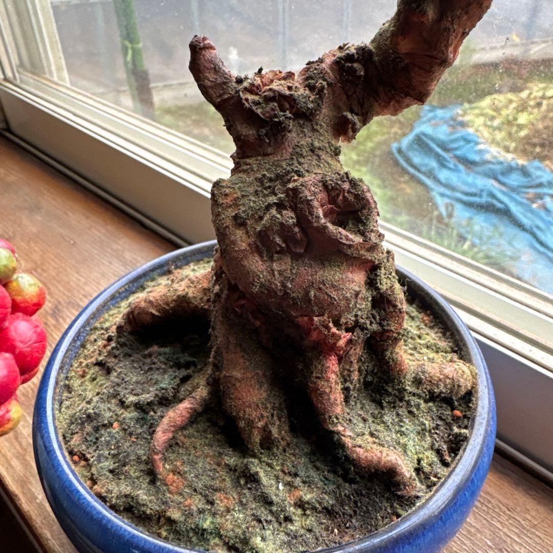 人工植物 盆栽風 緑 赤