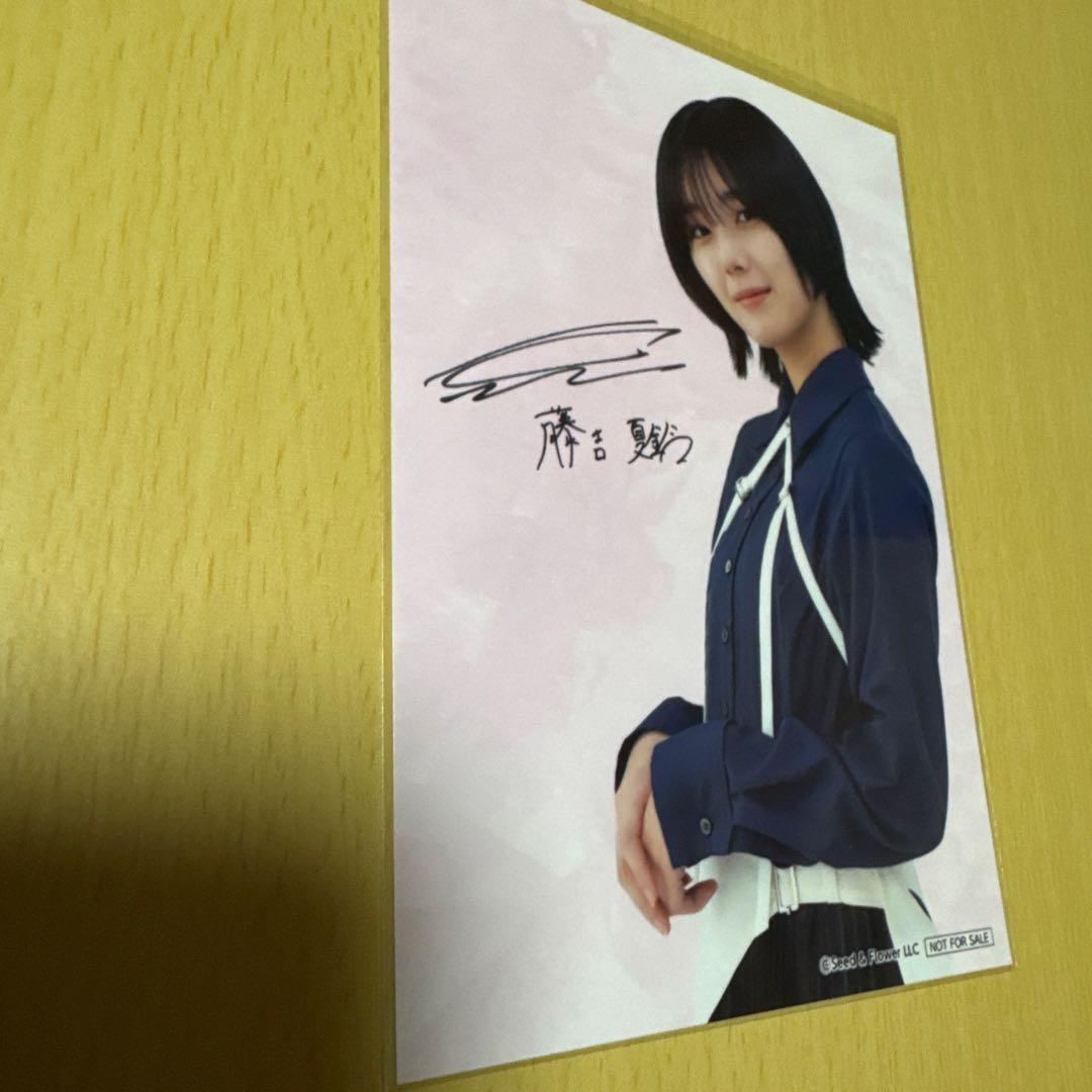 櫻坂46 藤吉夏鈴　「ローソンオリジナルプロマイド」 1枚