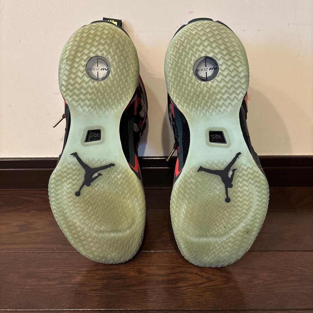 シューズ(男性用) AIR JORDAN XXXVI RUI PF 10.5
