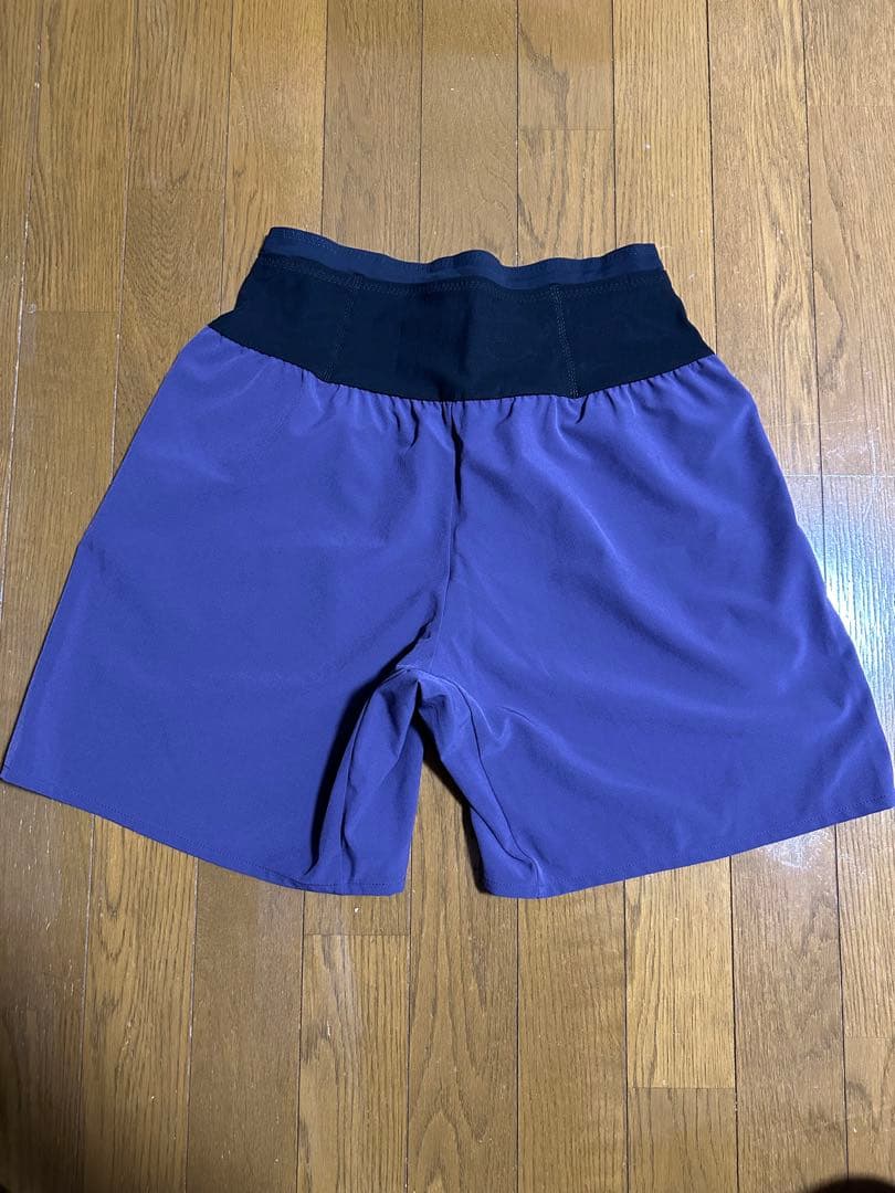 THE NORTH FACE エンデュリスレーシングショーツ サイズL