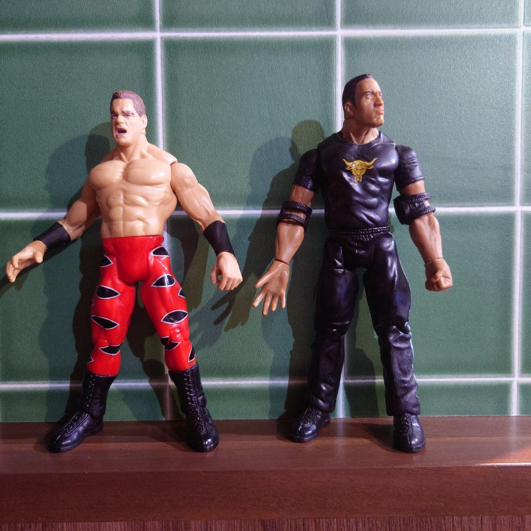 23体セット　WWE WWF WCW nWo プロレスフィギュア　　まとめ売り