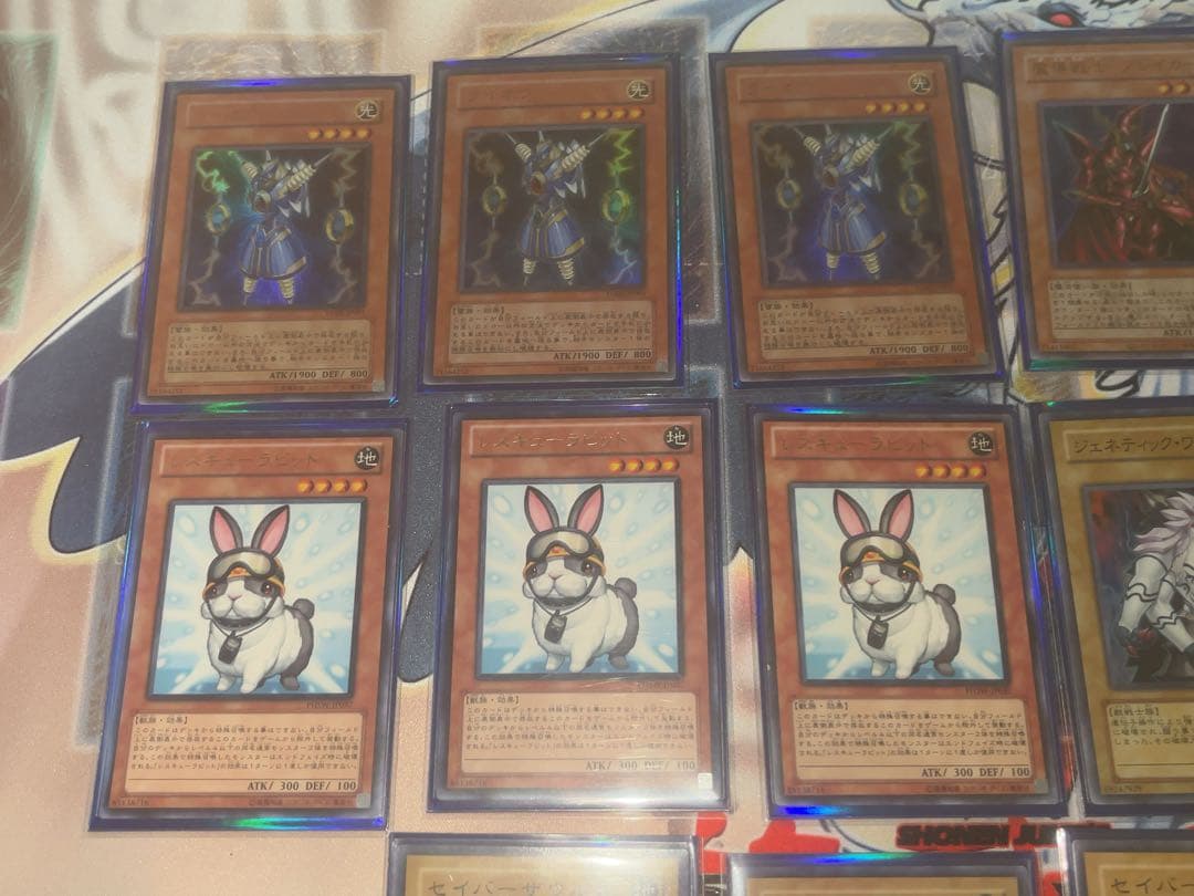 遊戯王1103環境用.兎ラギアデッキパーツ