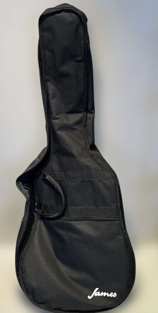 【James/ジェームス】アコースティックギター　JF400 楽器　趣味