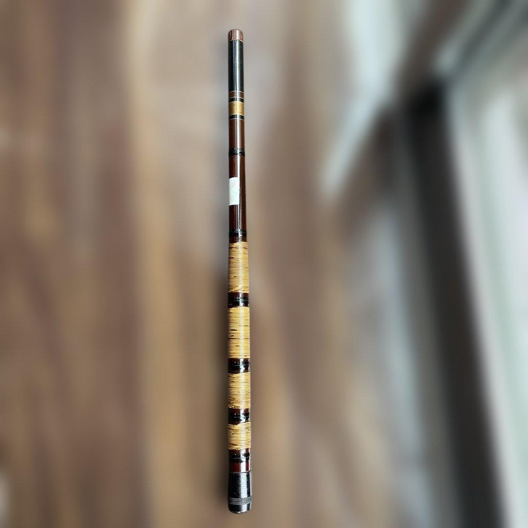 Daiwa 琥珀　硬調子　45 カバー付き