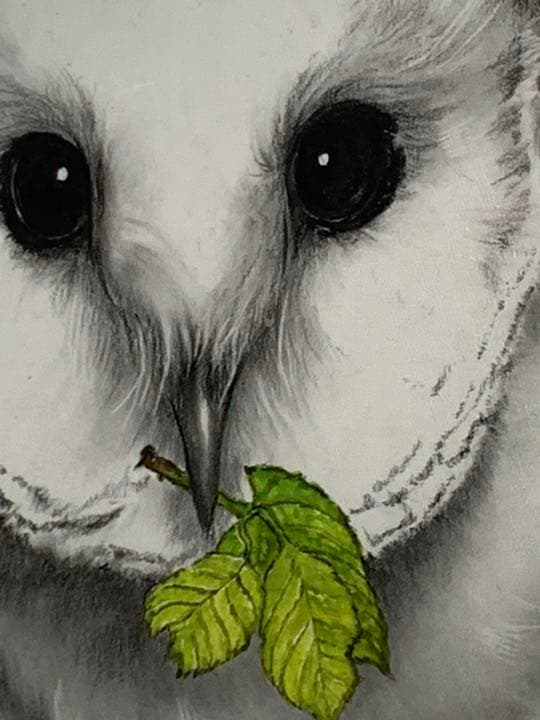 画家 白井真澄 木炭肉筆デッサン画  原画 真筆保証品！額入owl NO.25