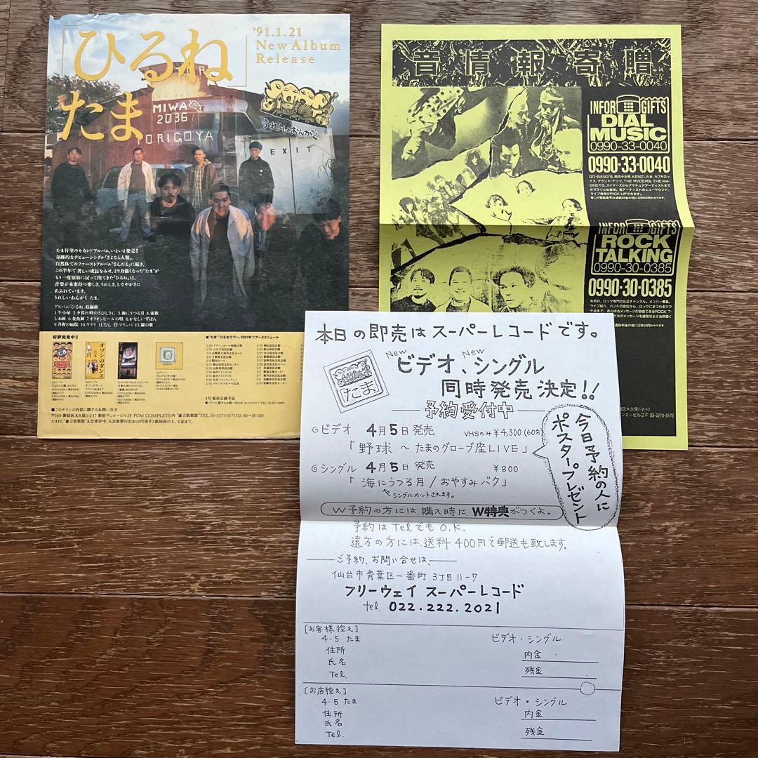 たま ツアー パンフレット たまの方向音痴 チラシ付き 知久寿焼 柳原 イカ天
