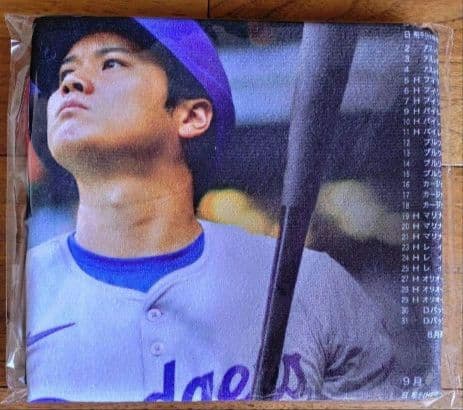 大谷翔平 ドジャース 2024 2025 NL MVP受賞記念プレミアムフレーム