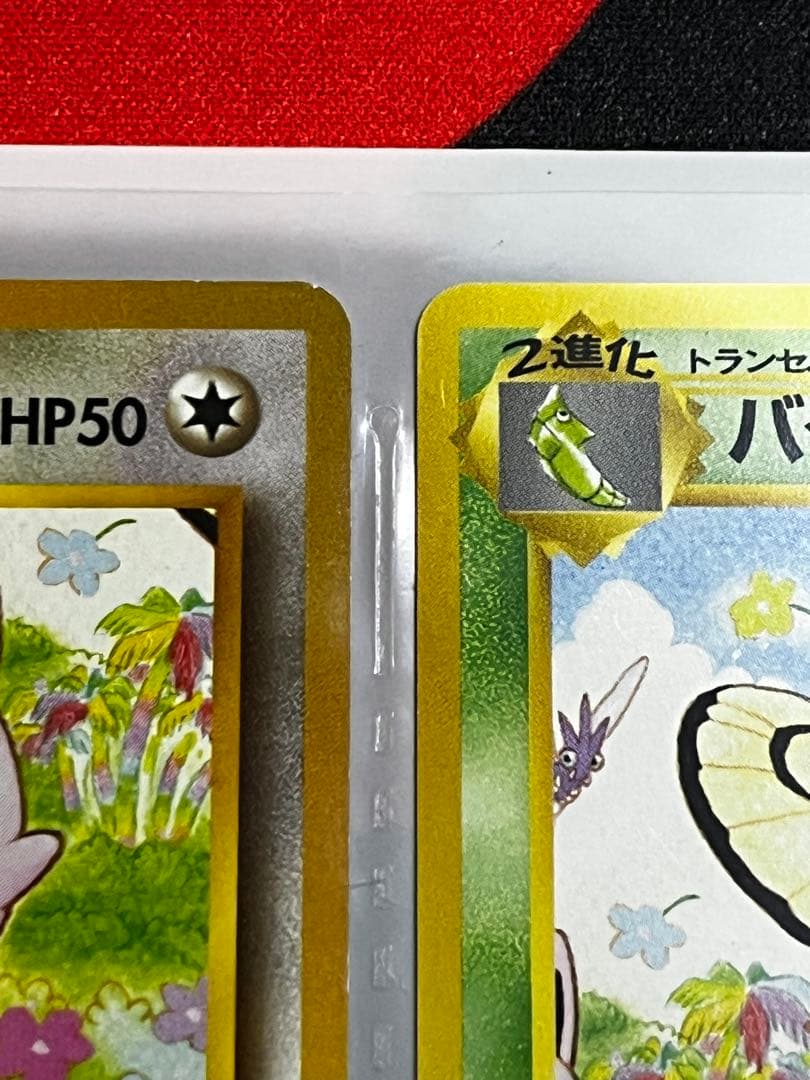 【旧裏】サザンアイランド　レインボーアイランド〜川辺〜　ポケモンカード