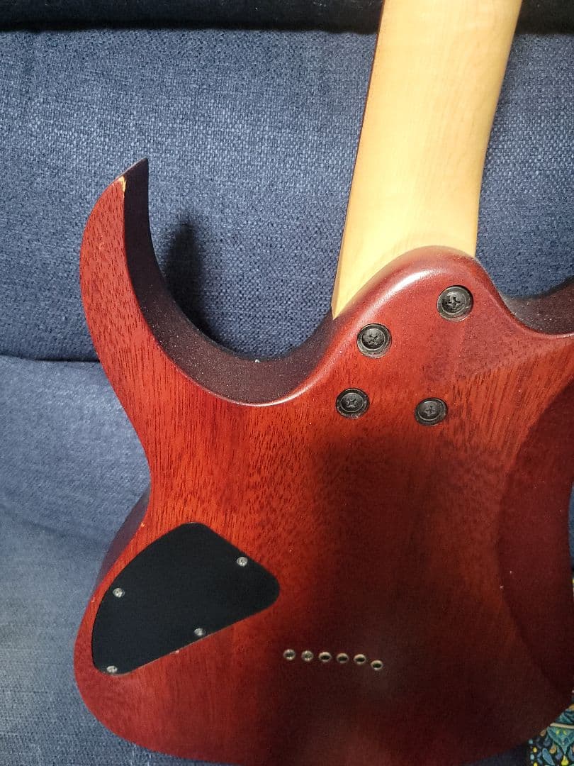 [新春セール]アイバニーズ　Ibanez RG421PB　動作品　おまけ盛り沢山