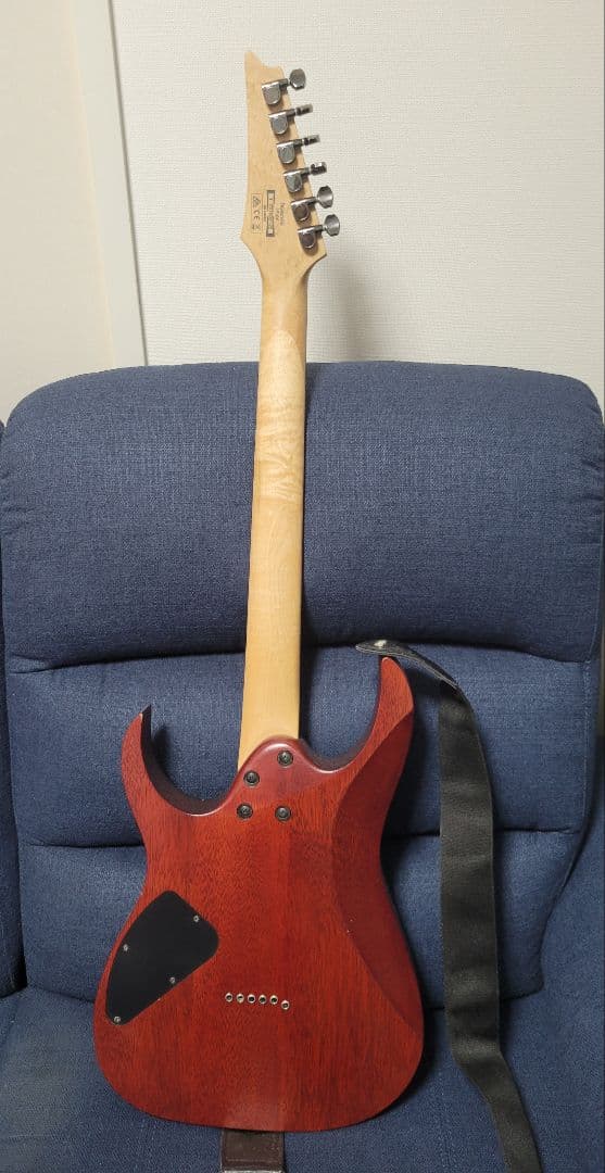 [新春セール]アイバニーズ　Ibanez RG421PB　動作品　おまけ盛り沢山