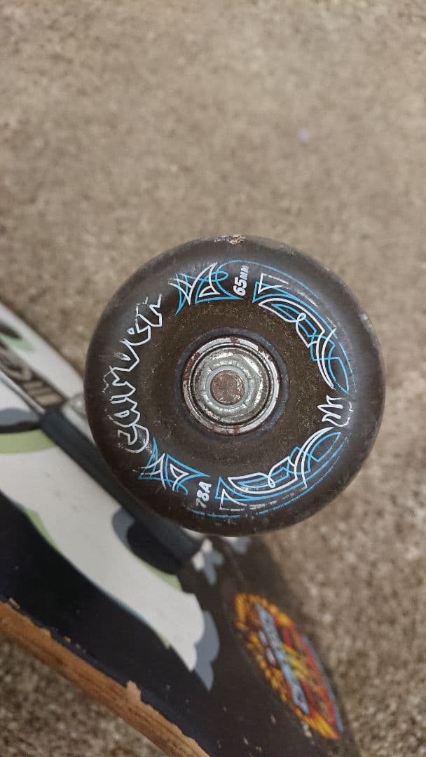 CARVER VENICE スケートボード