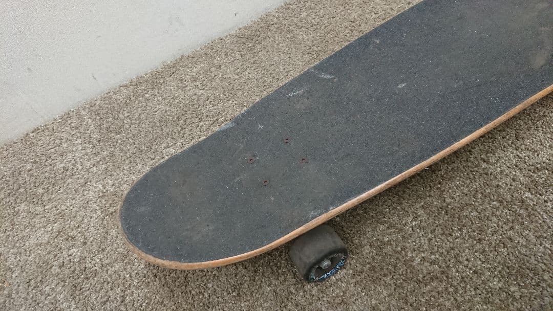CARVER VENICE スケートボード