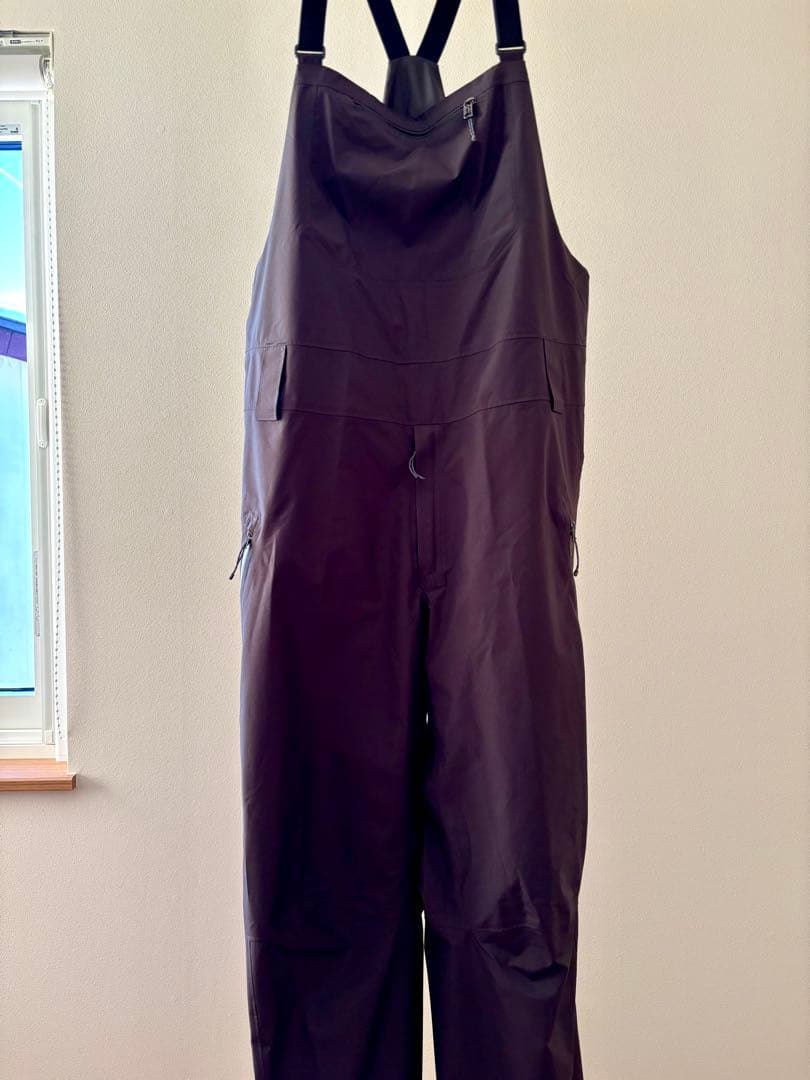 Patagonia M’s Powder Town Bibs サイズL