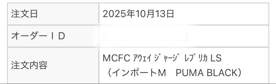 【美品】マンチェスターシティ アウェイユニフォーム長袖 ブラック