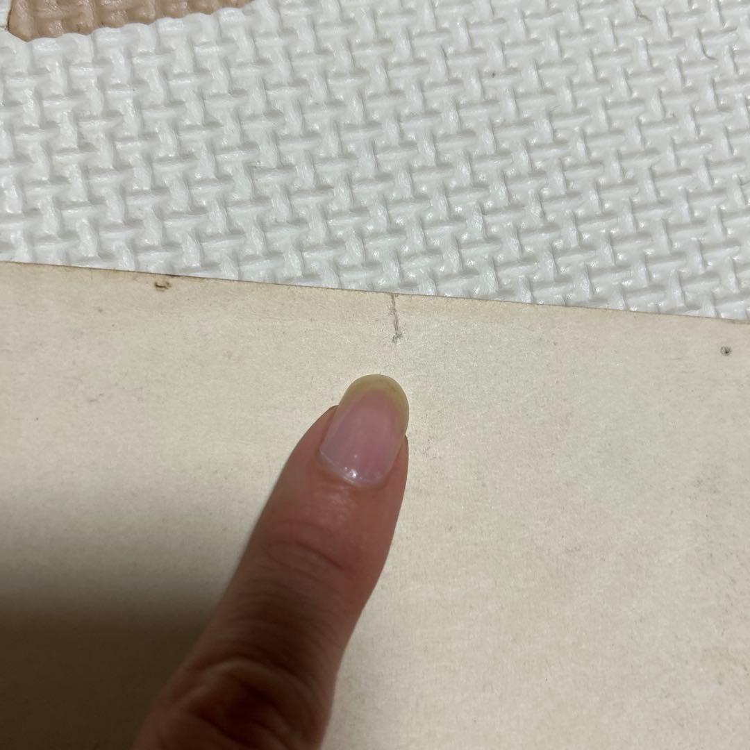 本日まで　再出品！昭和34年　巨人　川上哲治　プロマイド