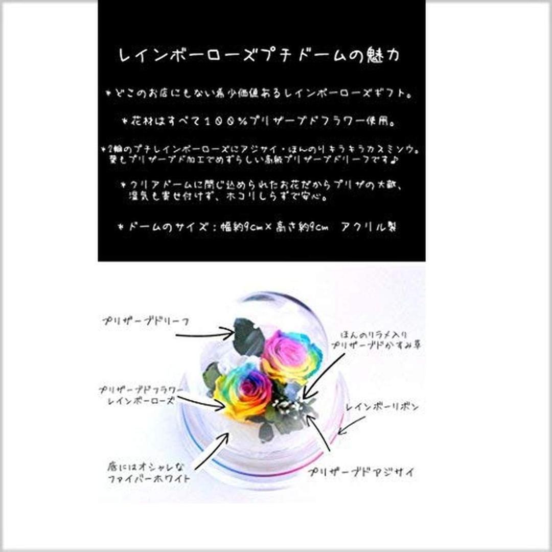 【高級プリザーブドフラワー】レインボーローズドーム