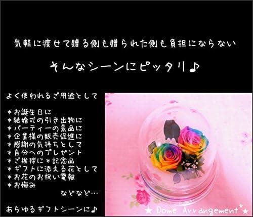 【高級プリザーブドフラワー】レインボーローズドーム