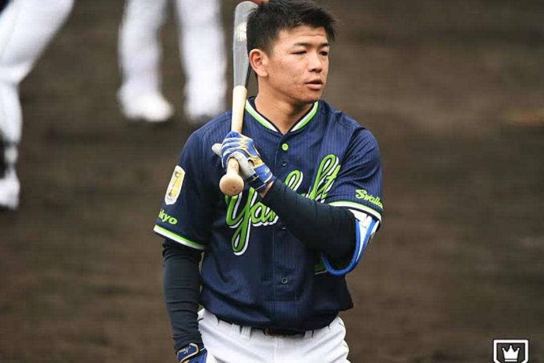 ヤクルトスワローズ 並木秀尊選手 実使用 硬式用木製バット 84cm 900g