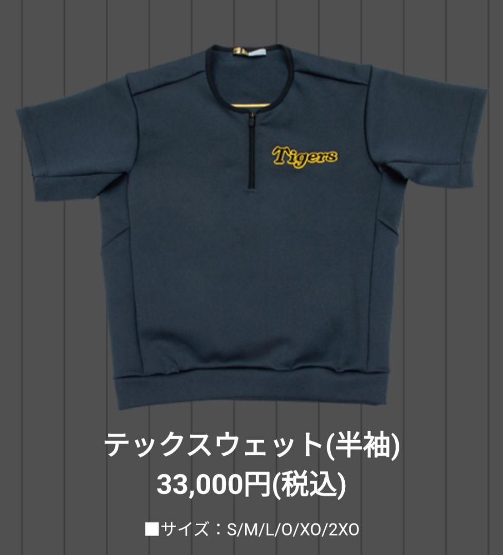 【美品レア】ミズノプロ 阪神タイガース 公式グッズ テックスウェット Lサイズ