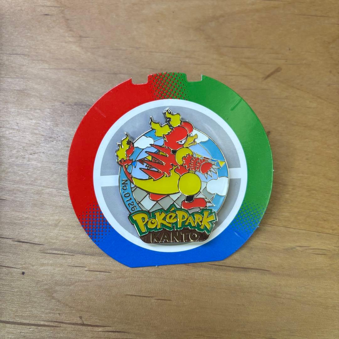 ポケパーク ピンズ ピンバッジ ポケモン