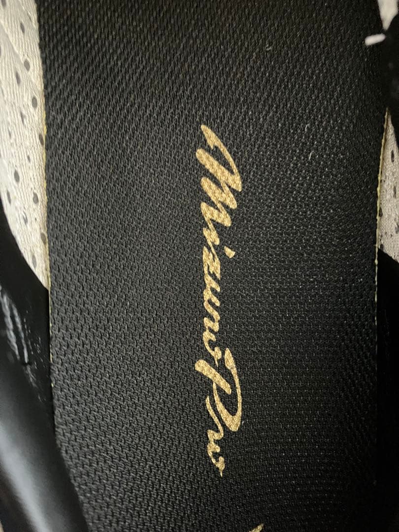 新品未使用Mizuno Pro最高級オーダー ポイントスパイク 26.5cm