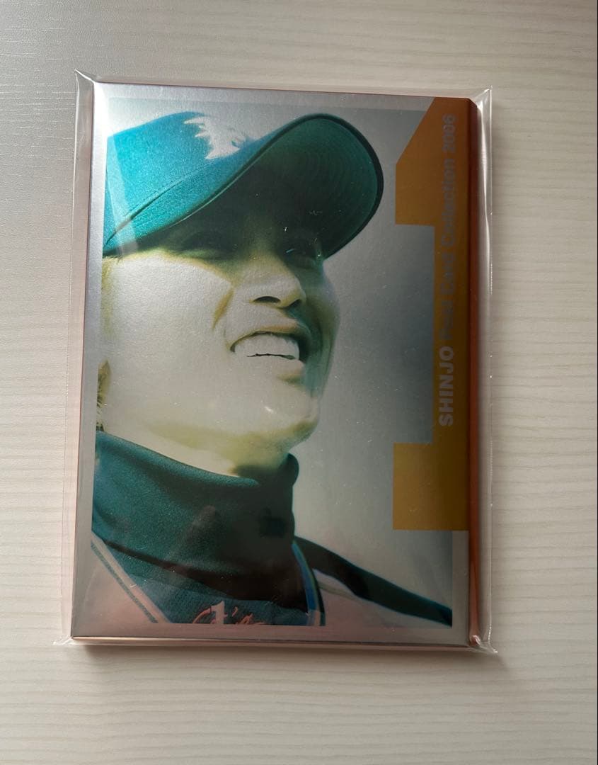 SHINJO ポストカードコレクション 2006