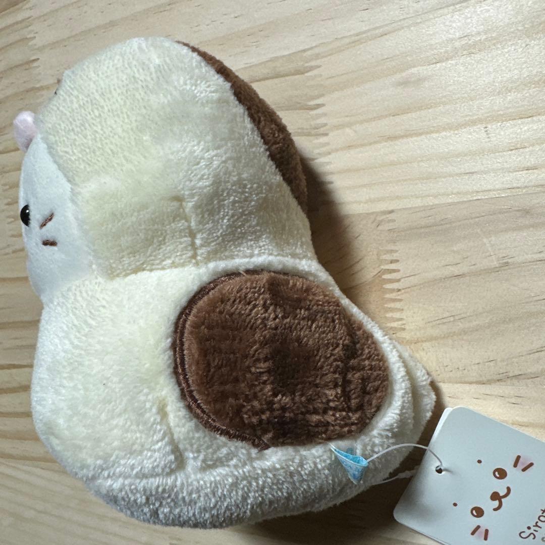 ポテト（ノア）