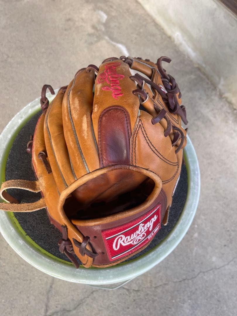 Rawlings Dual Pal 軟式グローブ
