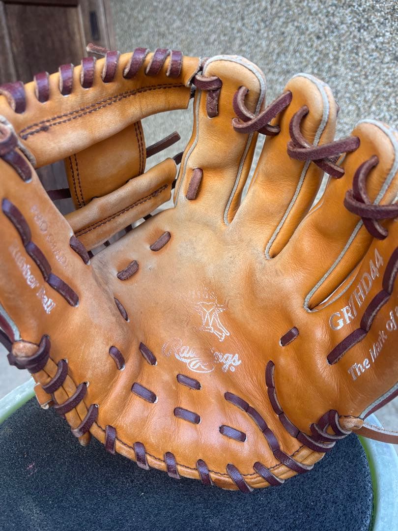 Rawlings Dual Pal 軟式グローブ
