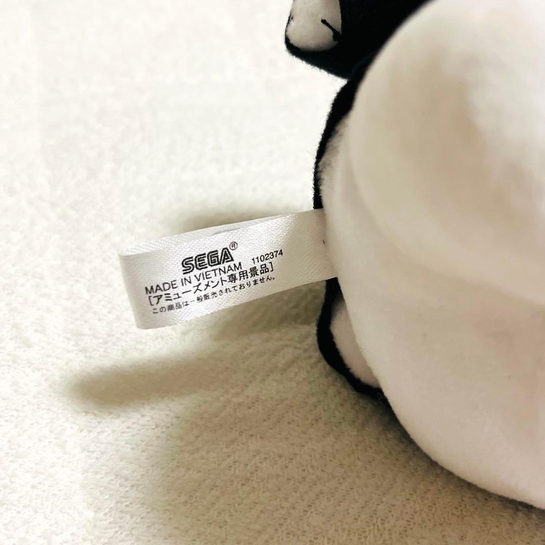 BE:FIRST ビーファースト　JUNON くま　プライズ　BMSGパーカー