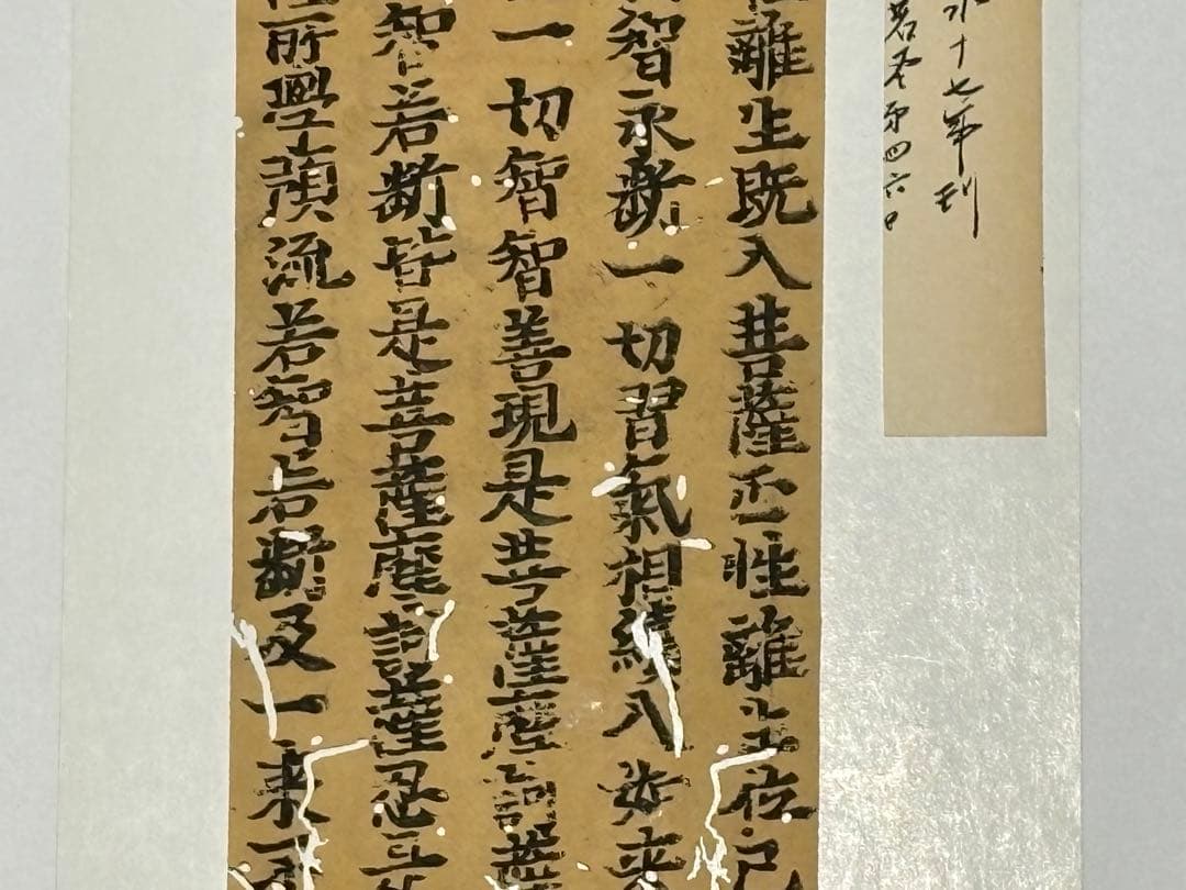 「沙門性恵願経 大般若経巻第四六〇」応永十七年刊 5行1枚|古典 経典