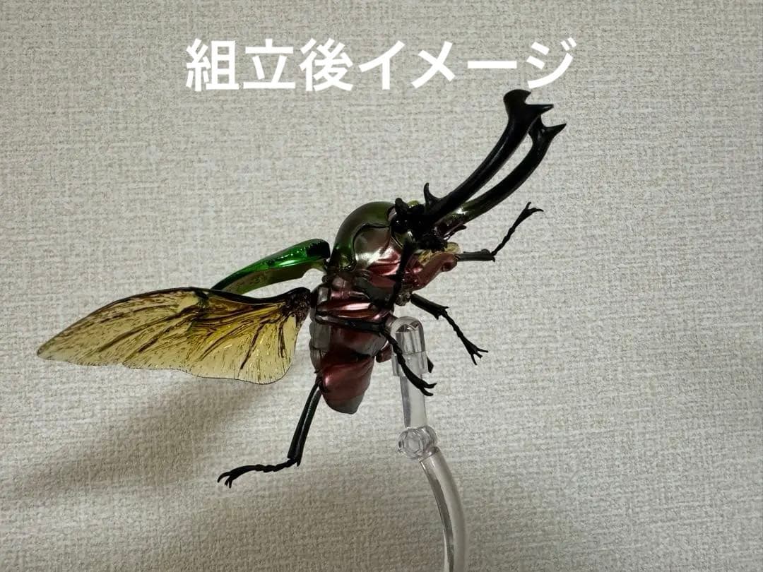 ★いきもの大図鑑【ニジイロクワガタ】4種＋後翅(小)ディスプレイ1個セット★