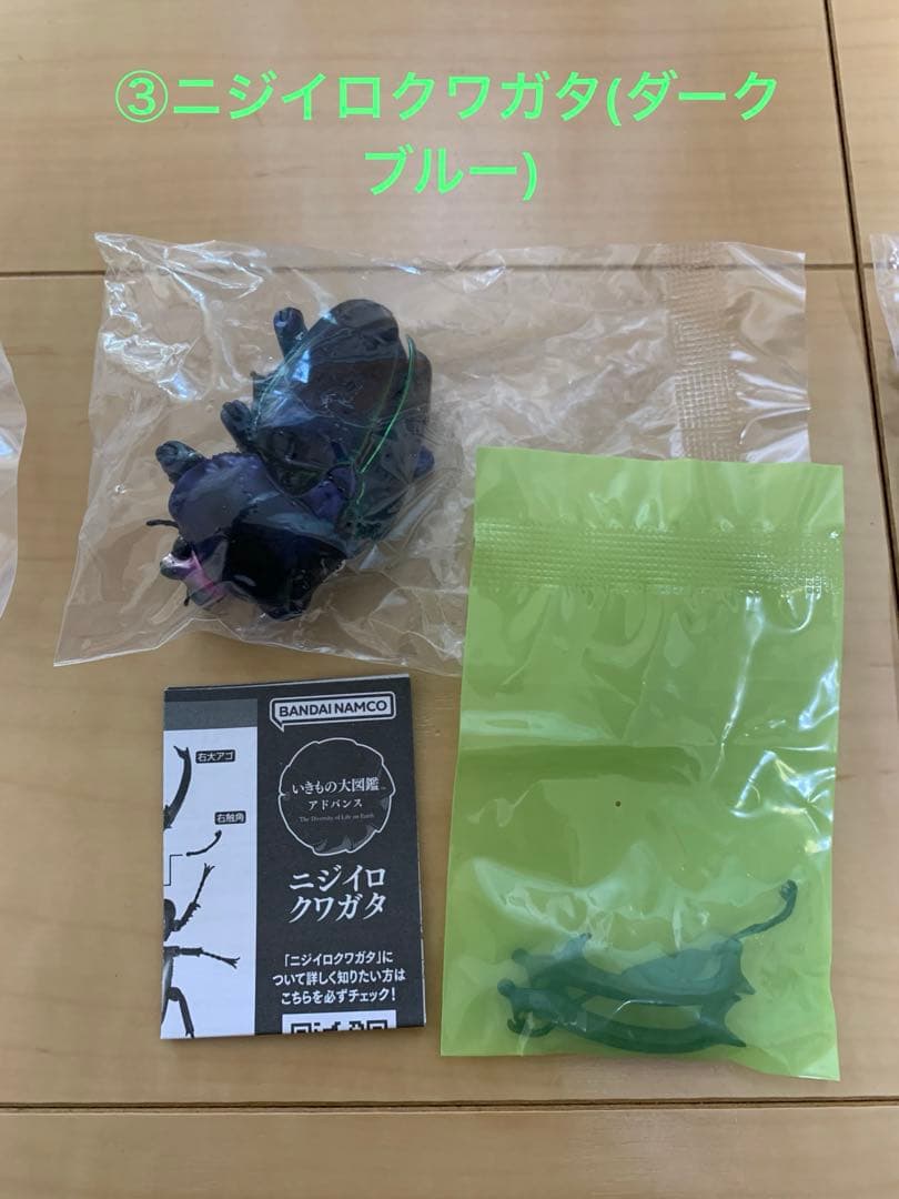 ★いきもの大図鑑【ニジイロクワガタ】4種＋後翅(小)ディスプレイ1個セット★