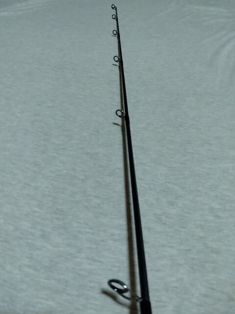 DAIWA　ダイワ ソルティガ LC 76-2 / ライトキャスティングロッド
