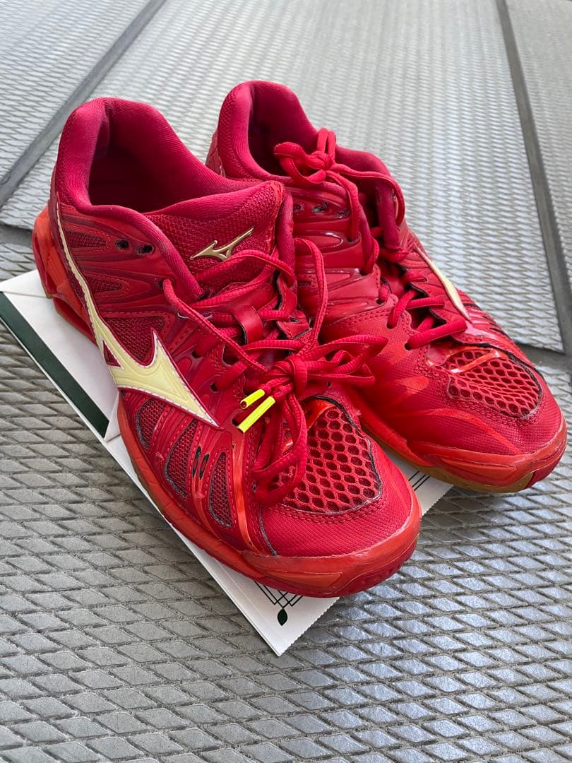 Mizuno バレーボールシューズ 26.0cm