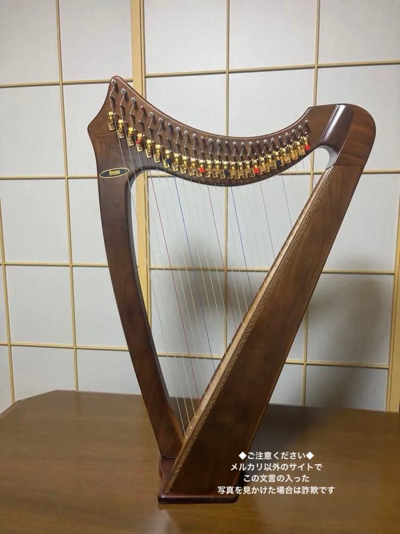 定価277,000円　青山ハープ　アオヤマ 25S サウルハープ