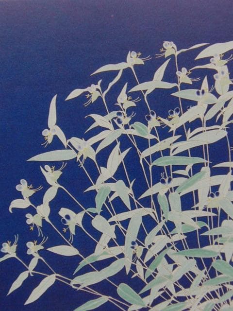 澁川矗、【つゆくさ】、希少な大判額装用画集より、美品、日本人画家
