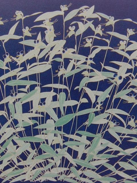 澁川矗、【つゆくさ】、希少な大判額装用画集より、美品、日本人画家