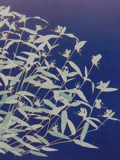 澁川矗、【つゆくさ】、希少な大判額装用画集より、美品、日本人画家