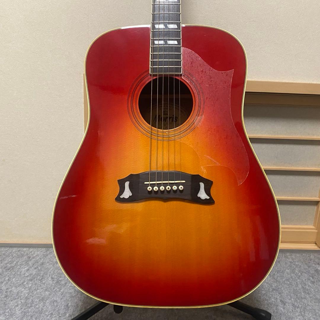 Morris WD-25 Gibson Dove コピーモデル