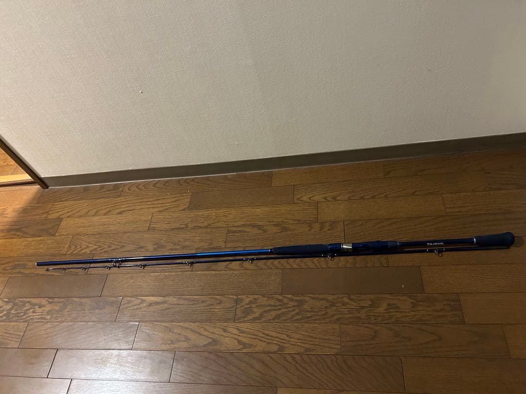 DAIWA シーパワー73 50-270
